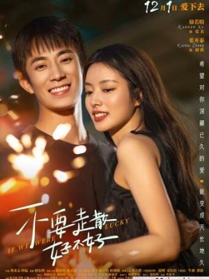 《十二月的桥》封面图